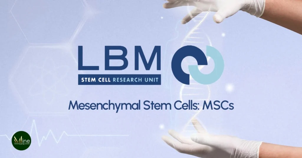 Mesenchymal Stem Cells MSCs